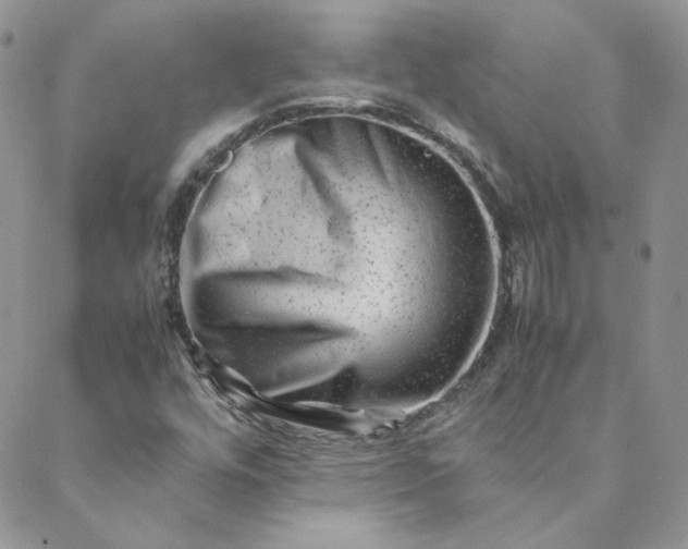 X0000088601448200706081341