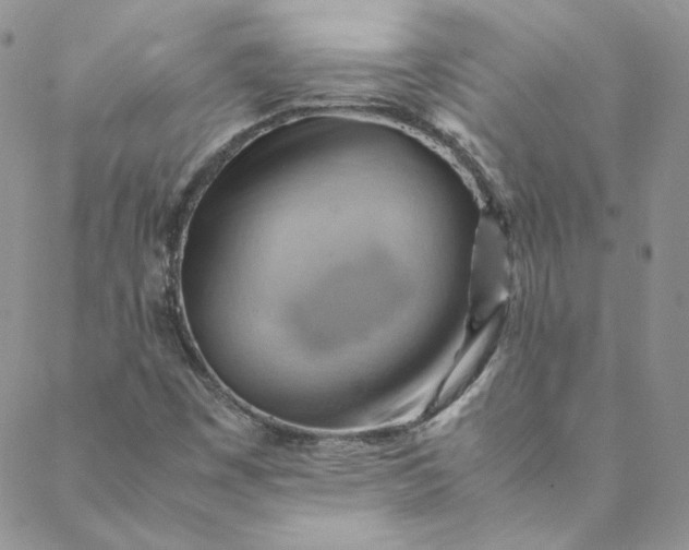 X0000088601449200706081341