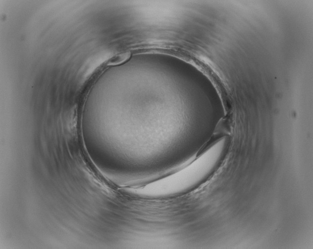 X0000088601450200706081341