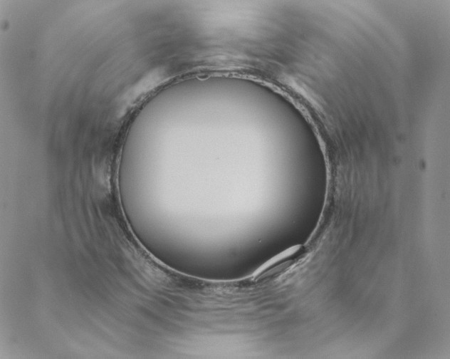 X0000088601451200706081341