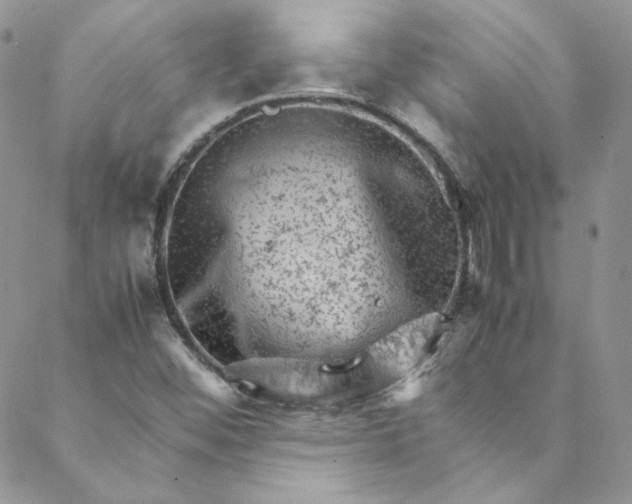 X0000088601452200706081341