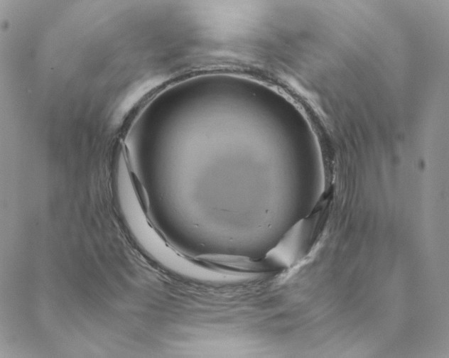 X0000088601453200706081341