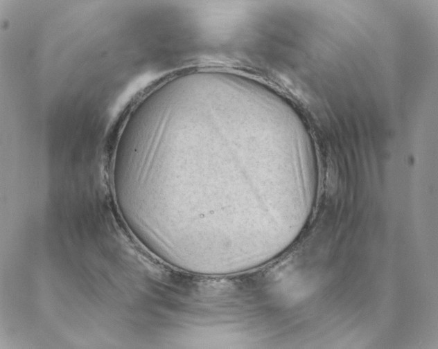 X0000088601454200706081341