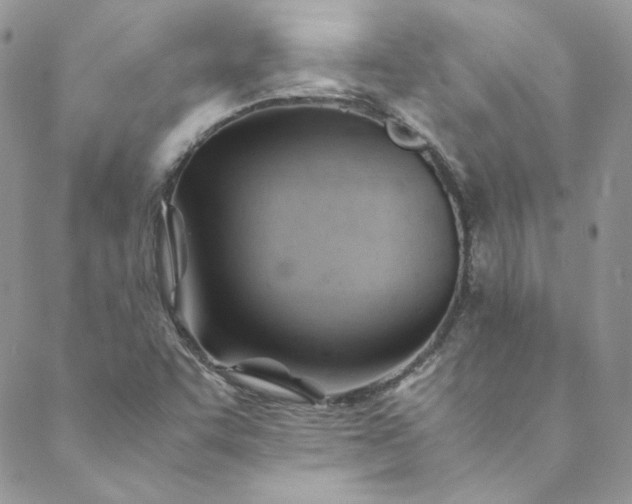 X0000088601455200706081341