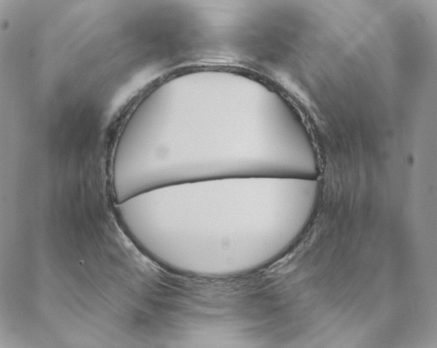 X0000088601456200706081341