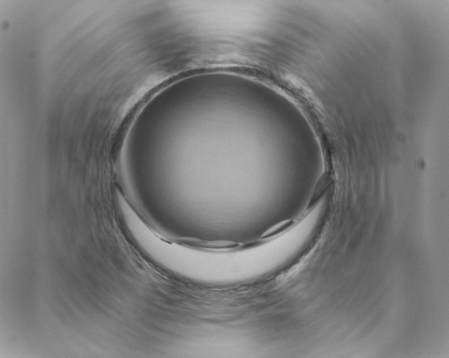 X0000088601457200706081341