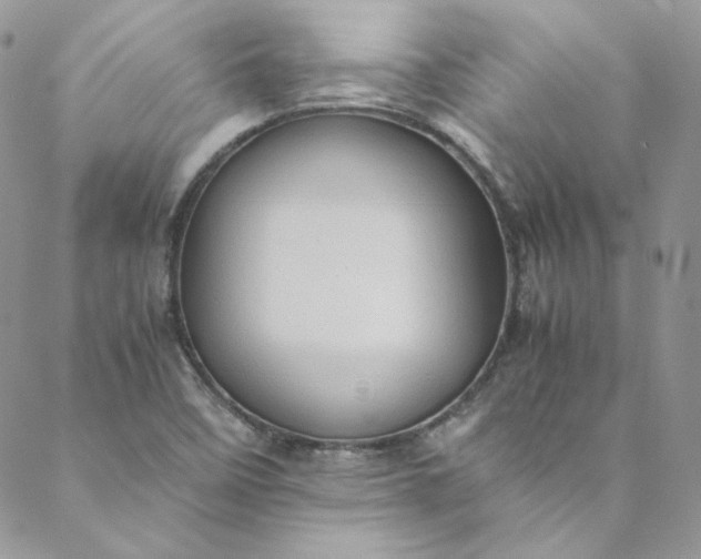 X0000088601458200706081341