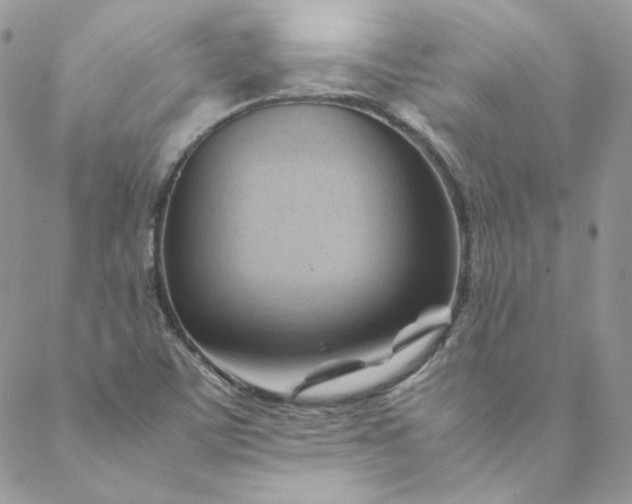 X0000088601459200706081340