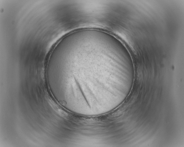 X0000088601460200706081340