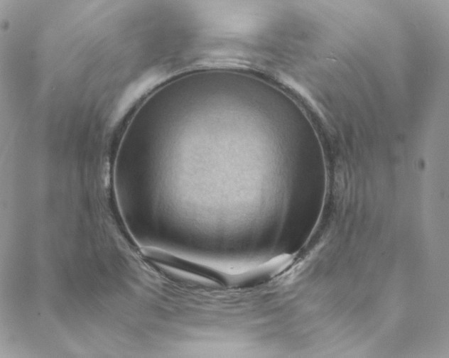 X0000088601461200706081340