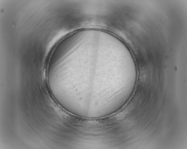 X0000088601462200706081340