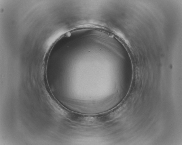 X0000088601463200706081340