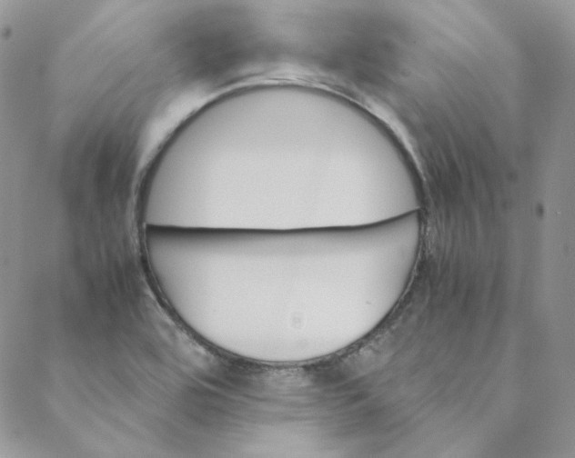 X0000088601464200706081340