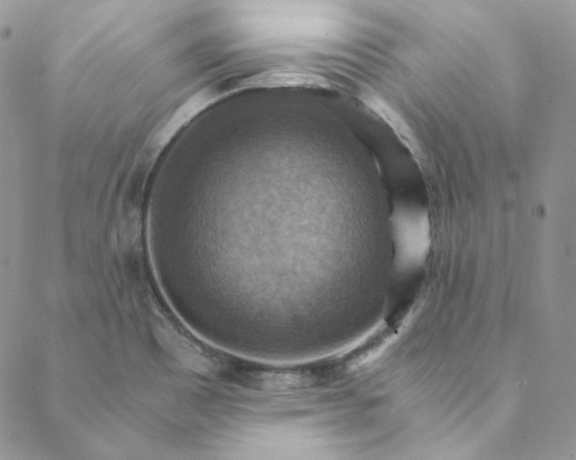 X0000088601465200706081340