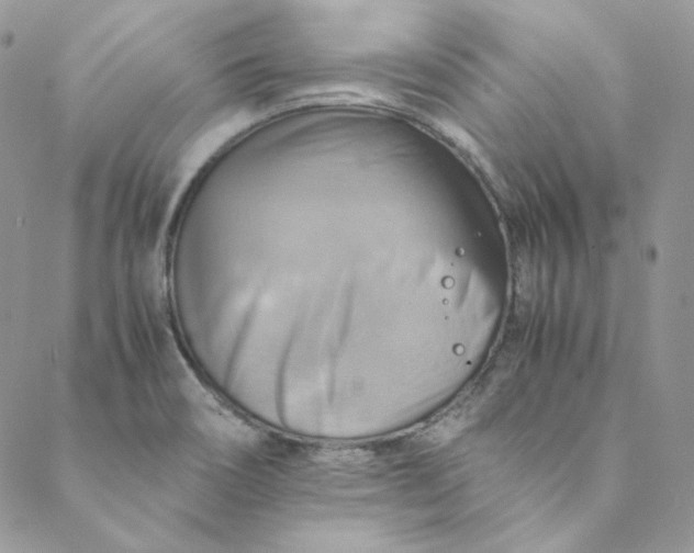 X0000088601466200706081340