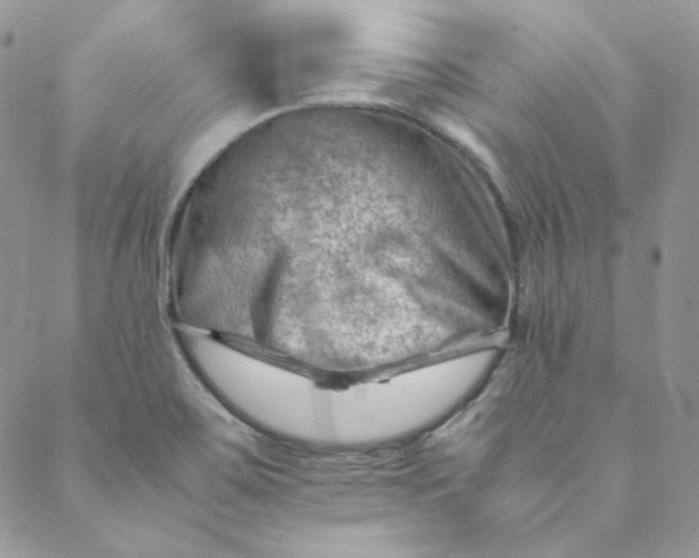 X0000088601467200706081340