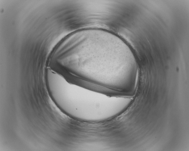 X0000088601468200706081340