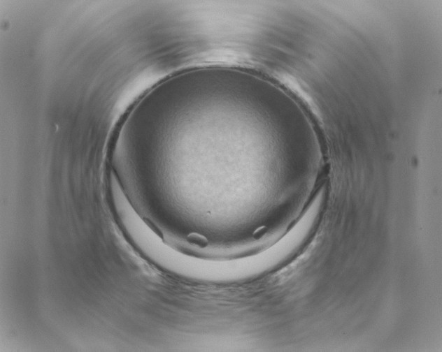 X0000088601469200706081340