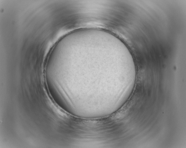 X0000088601470200706081340