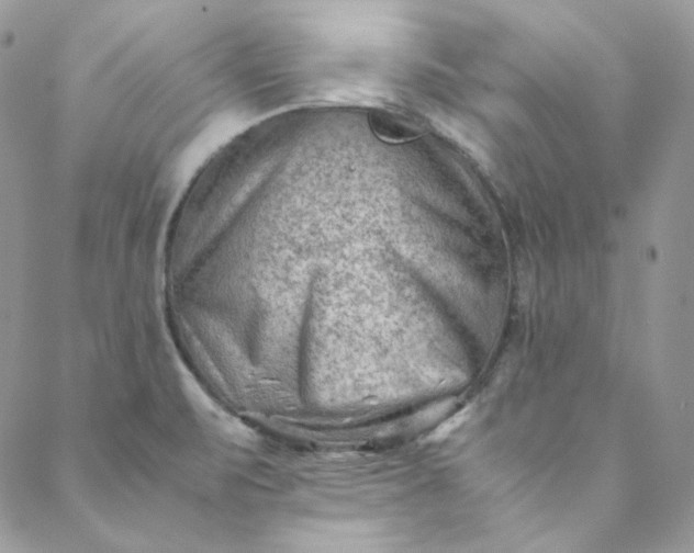 X0000088601471200706081340
