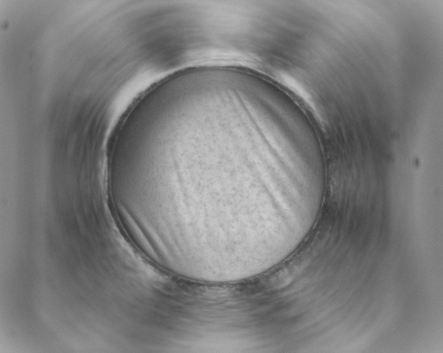 X0000088601472200706081340