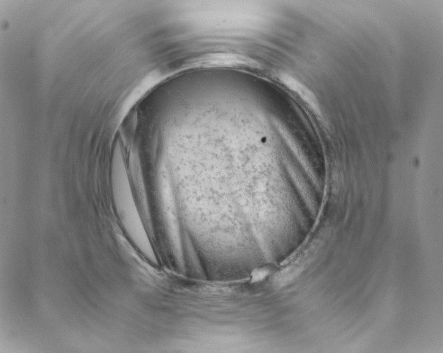 X0000088601473200706081340