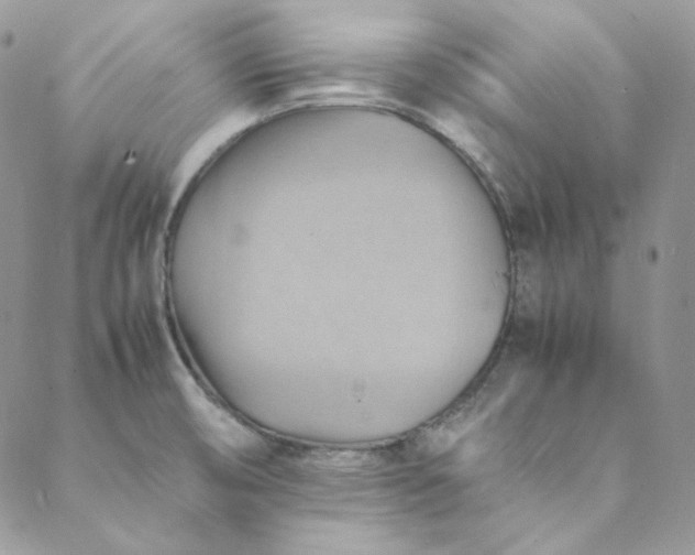 X0000088601474200706081340