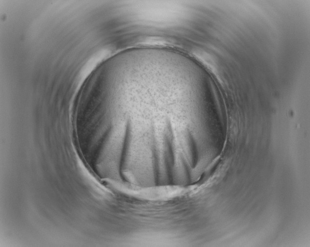 X0000088601475200706081340