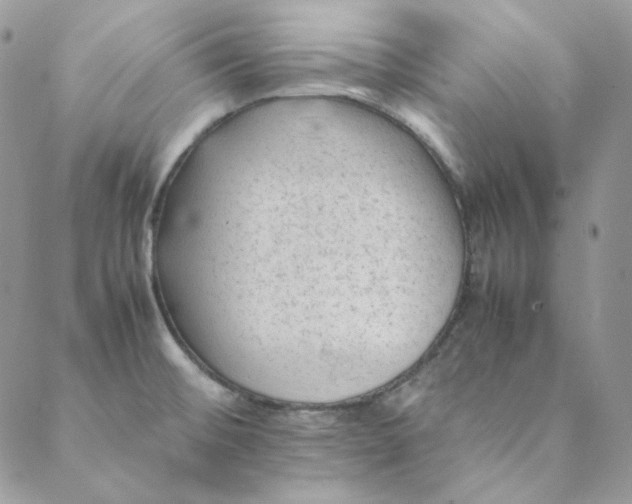 X0000088601476200706081340