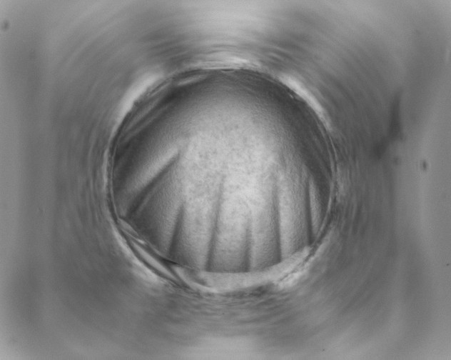 X0000088601477200706081340