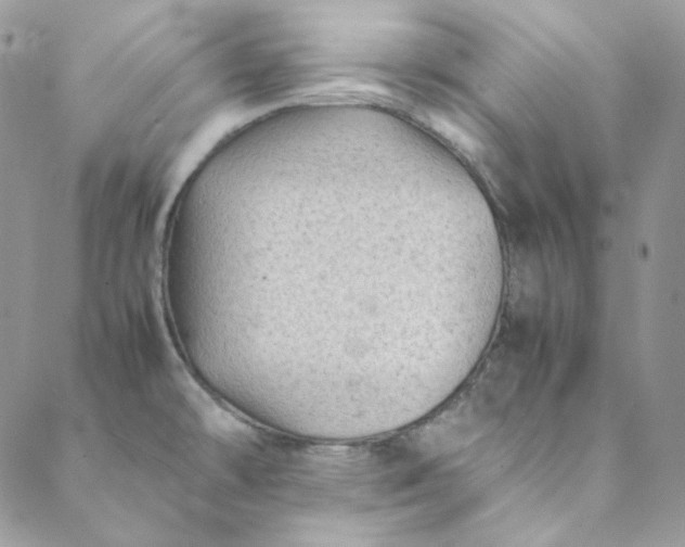 X0000088601478200706081340