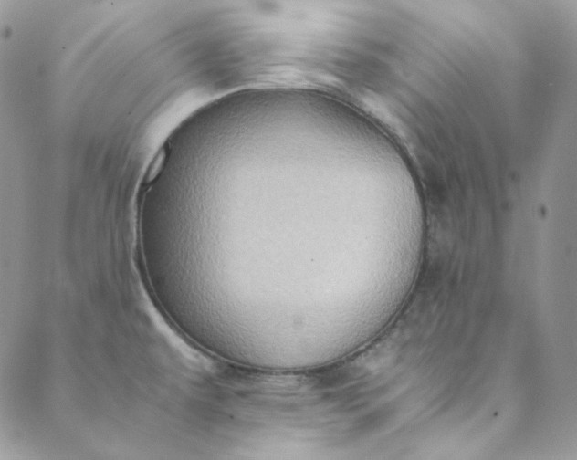 X0000088601479200706081340