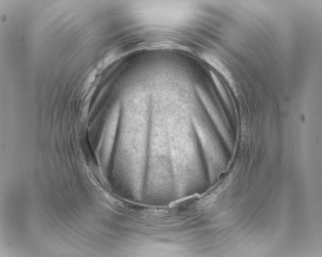 X0000088601481200706081340