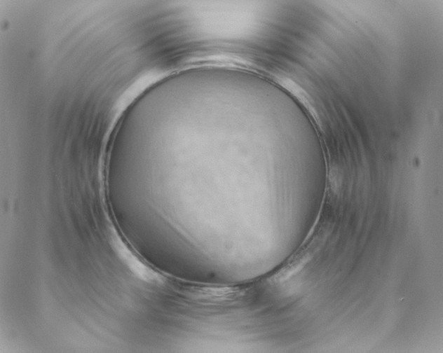 X0000088601482200706081340