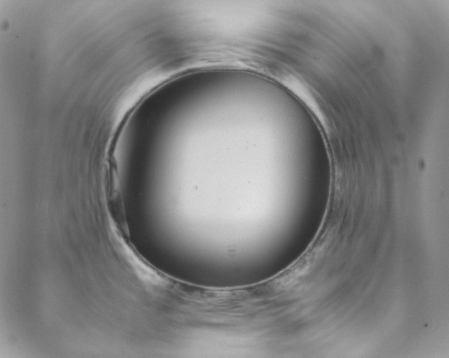 X0000088601485200706081340