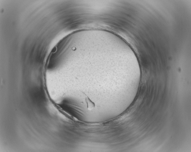 X0000088601486200706081340