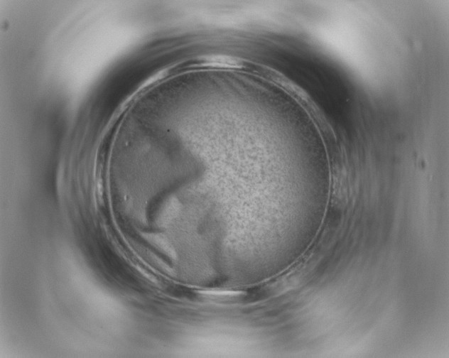 X0000088601487200706081340