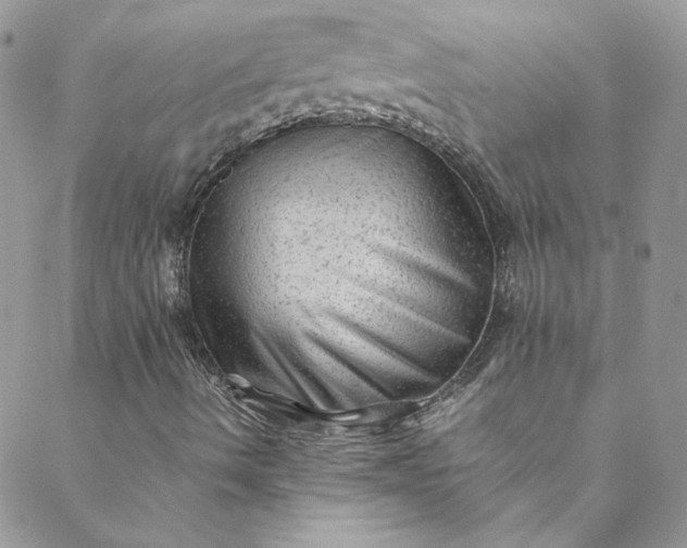 X0000088601490200706081339