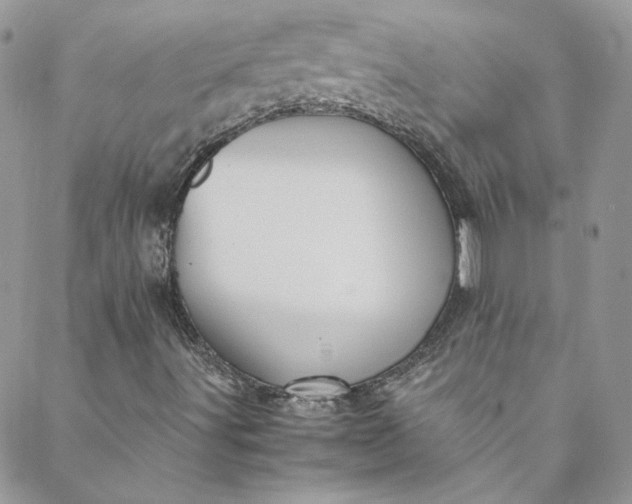 X0000088601491200706081339