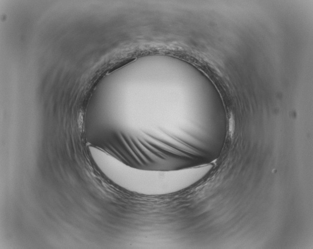 X0000088601492200706081339