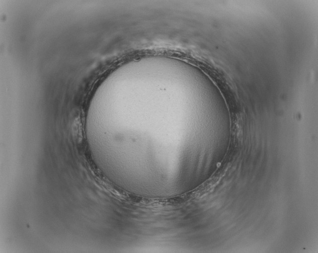 X0000088601493200706081339