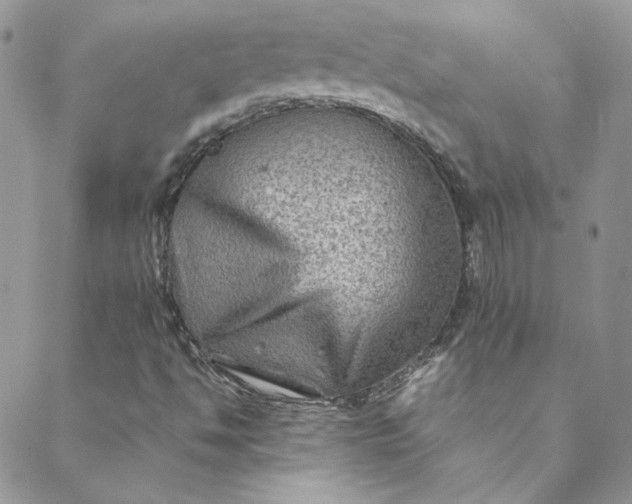 X0000088601494200706081339