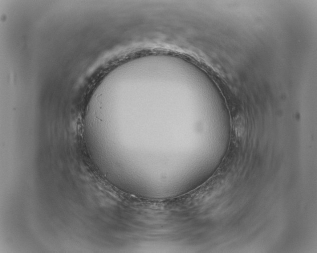 X0000088601495200706081339