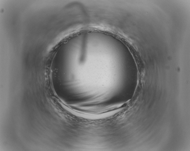 X0000088601496200706081339