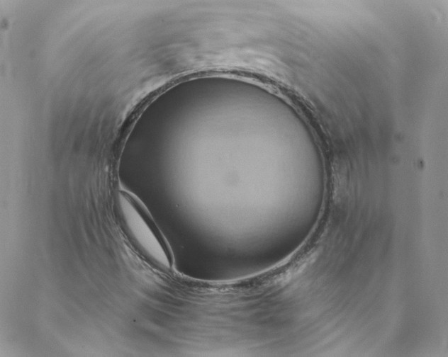 X0000088601497200706081339