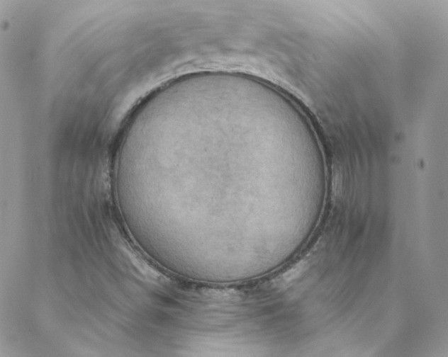 X0000088601498200706081339