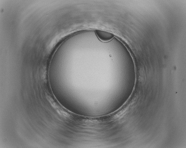 X0000088601499200706081339