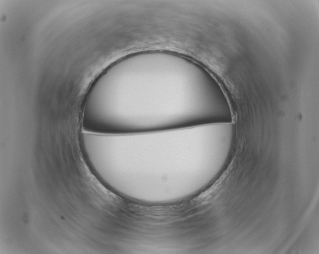 X0000088601500200706081339