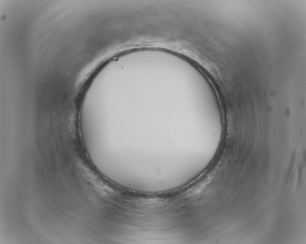 X0000088601502200706081339