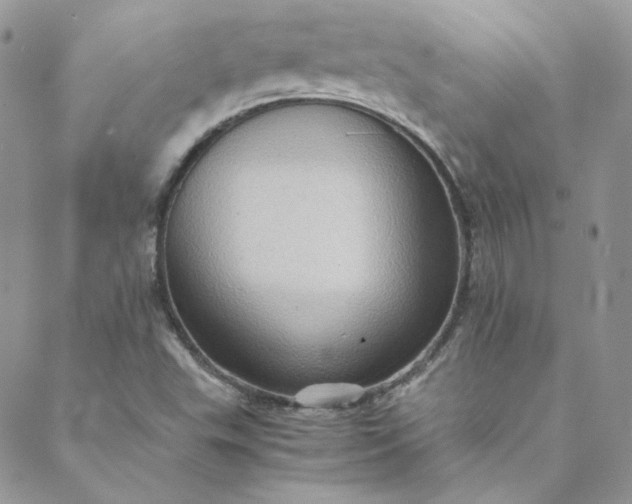 X0000088601503200706081339